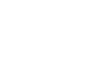 Southern Catch Logo